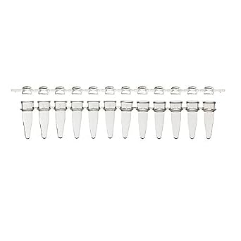 Amplifyt PCR 12-Strip Tube & Domed Strip Cap Packs, 0.2 mL, Clear, Pack of 80