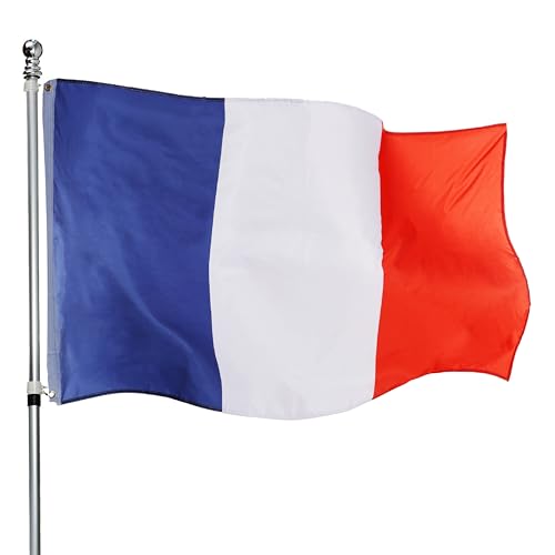 I LOVE FANCY DRESS LTD Lot de 12 drapeaux de la France - 9,5 x 15,2 cm - Drapeau français - Décoration pour le jour du Bateau - Football - Rugby