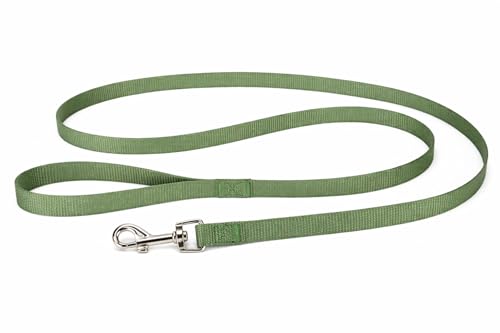 Laisse Chien - Longe pour Chien - Laisse Ziggi Kaki - 130 cm x 10 mm - Nylon - Mousqueton avec Finition Nickel Brillant