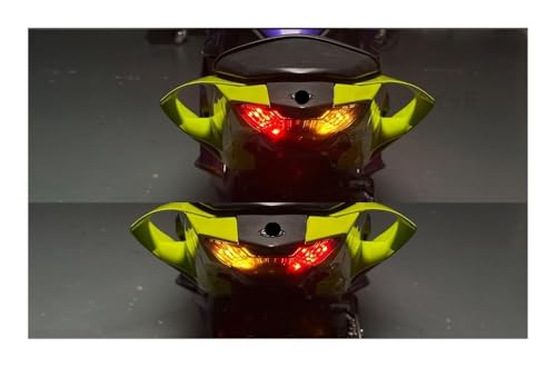 Feux arrière LED intégrés pour YZF-R3 R25 et MT-03 2014-2024