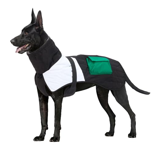Vêtements pour grands chiens : veste imperméable et costume d'extérieur pour animaux