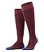 Produktbild FALKE Herren Kniestrümpfe Dot, Baumwolle, 1 Paar, Rot (Barolo 8596), 39-42