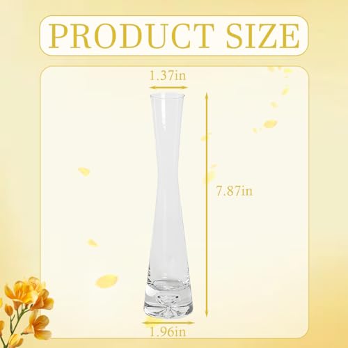 Vase à bourgeons col étroit en verre transparent bouteille moderne 20cm - 3