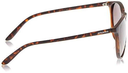 Polaroid PLD 6003/N/S Havana/Brown Shaded Polarized 54/19/140 men Sunglasses3
