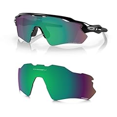 Prizm Shallow Water Polarized