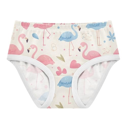 GuoChe Underwear 1-piecing Hip Design Panties Organic Underwear for Kid in Sizes 2T,3T, 4T, 5T, 6Y and 8Y