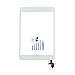 BESTeck Replacement Screen Digitizer Compatible Apple iPad Mini 1 A1432 A1454 A1455 Mini 2 A1489 A1490 A1491 IC Chip, Home Button, Adhesive Tools (White)