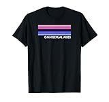 Omnisexual Pride Flag Aesthetic Merch Accessories