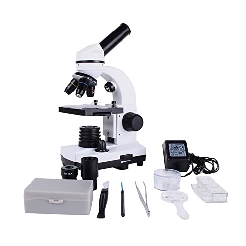 Microscopio de Laboratorio HD 640X con enchufe y alta ampliación para rendimiento escolar
