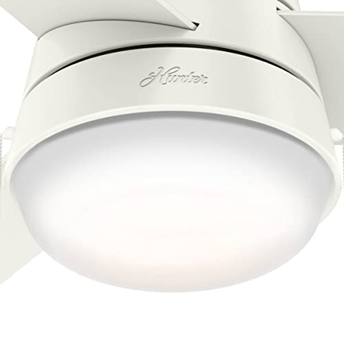 Hunter Fan Company 59301 Aker Indoor With Led Light, Pull Chain Control, 36 Inch, White #TOP6
