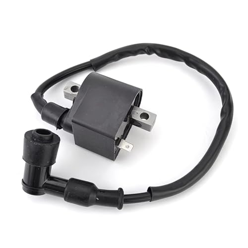 Bobinas de encendido Suzuki 50cc 125cc para motos TS125ER, LT50 y motores CDI
