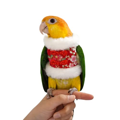Image of Bird Costume Flight Suit Clothes Cosplay Photo Prop for Parrots Parakeet Cockatiel Sun Conure, Hoodie Small Animals Apparel (Red, Small), Green