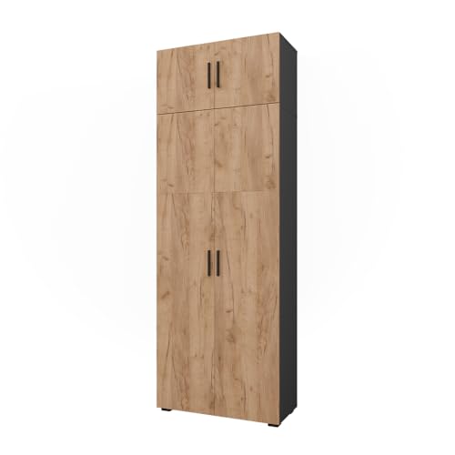 Vicco Étagère à dossiers Frank, Anthracite/chêne doré, 80x223.8cm avec Fixation d'armoire, pour Un Rangement Clair des dossiers et classeurs