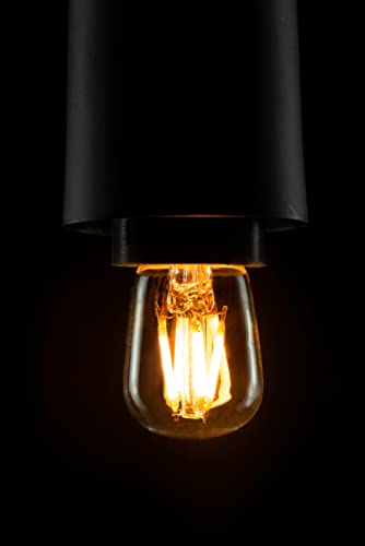 Ampoule LED réfrigérateur Segula E14 variable : intensité modulable haute performance