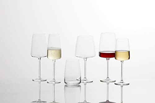 Zwiesel Glas Tritan Sensa Collection Wine Glass