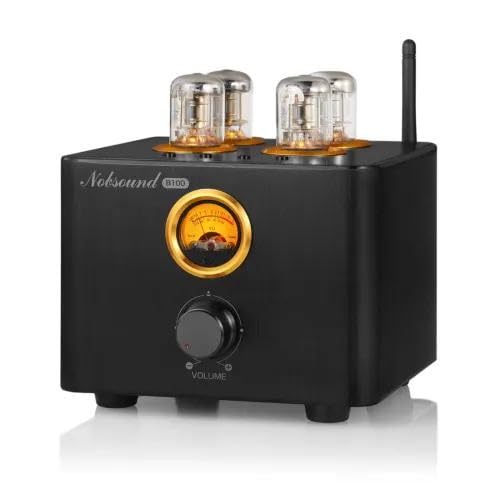 Nobsound B100 Bluetooth 5.0 Amplificatore Stereo HiFi