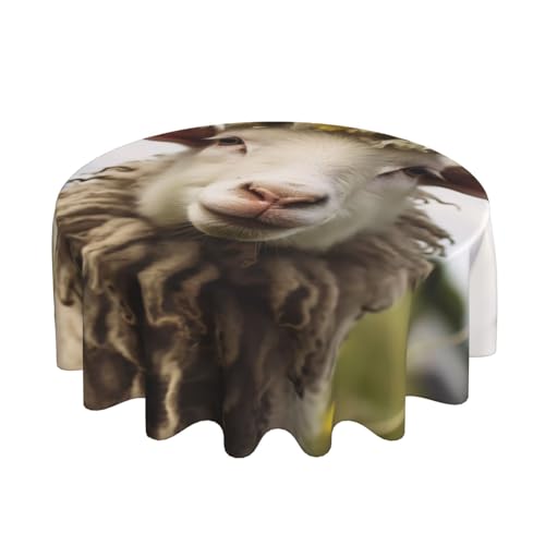Nappe de restaurant imprimée moutons pour décoration de table