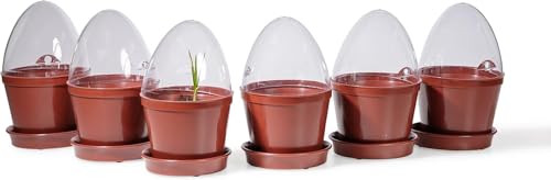 Kimmel Anzuchttöpfe mit Feuchtigkeitskuppel/Deckel 6 Stück im Set Blumentöpfe Pflanztöpfe, Braun