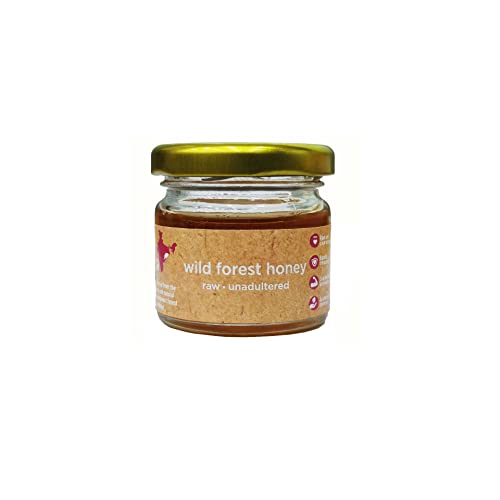 Image of Conscious Food Wild Forest Honey | 100% Raw Pure and Natural, Unprocessed & Unpasteurized Honey | Value Pack |Wild Forest Honey Pack of - 30g