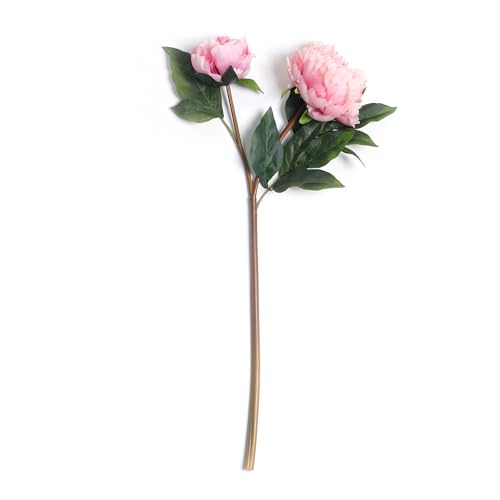 Image of PURE HOME + LIVING Pink Faux Peony Spray (Made of Plastic, Wire and Fabric) for Home, Office and Living Room Decorations (Without Vase)(Height-57cm) Pack of 1