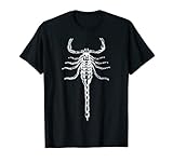Regalo de Scorpion de escorpión de escorpión genial para amantes de la terrarística. Una visita obligada para todos los que tienen un escorpión como mascota.