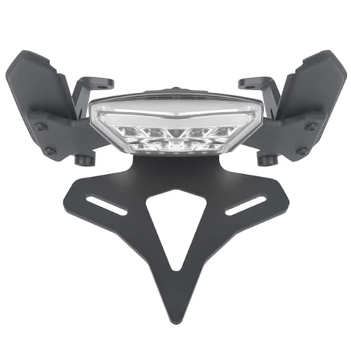 Support de plaque immatriculation en carbone et feu intégré pour Ducati Diavel 1260