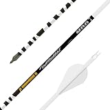Gold Tip Ted Nugent Arrows with Raptor V...
