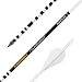 Gold Tip Ted Nugent Arrows with Raptor Vane (Pack of 6), White, 300