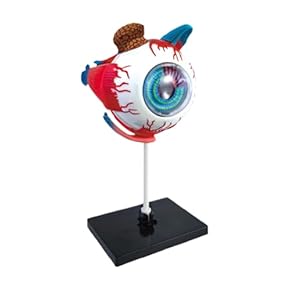 医療事務☆勉強セット Amazon.co.jp 売れ筋ランキング: 医学用教材 の中で最も人気の