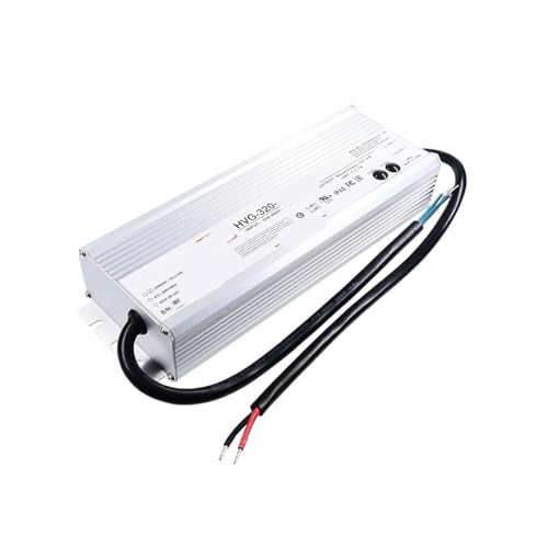 Fuente de alimentación de entrada de alto voltaje bifásico, 180~528V de ancho, HVG-320-24/42A, voltaje constante y corriente constante(HVG 320 24A 24V)
