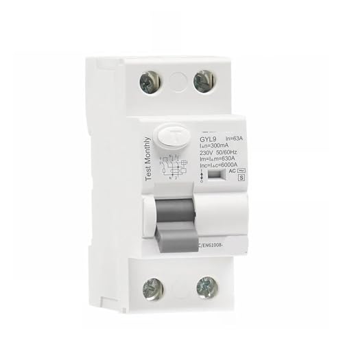 Disjoncteur différentiel temporisé GYL9 AC-S 2P 63A 100mA pour tableau