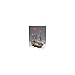 Corel HMS Greyhound 20-Gun British Ship