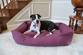 Slatters Be Royal Store Reversible Dual Ultra Soft Velvet Luxury Sofa Bed PET Bed | Dog Bed | CAT Bed | Puppies Puppy Bed | Rabbit Bed