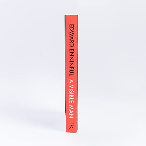 A Visible Man: The Sunday Times bestseller and BBC Radio 4 Book of the Week