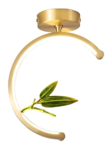 Lámpara de araña para pasillo y porche moderno con luz LED de diseño circular