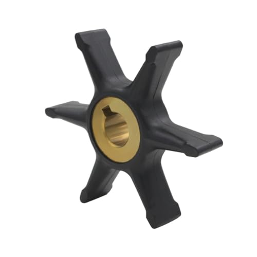 Turbine de pompe à eau hors-bord pour réparer la surchauffe moteur 4 CV