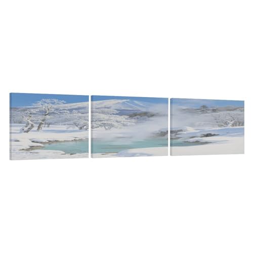 Hokkaido Hot Springs Wall Art Canvas Set of 3 Framed Boho,Wall Art for Living Ready to Hang,Wall Decor for Home, Bathroom Decor Bedroom Dining Room - Housewarming Gifts 12×16inch