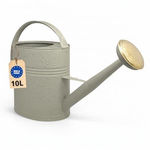 Arrosoir 10l, Arrosoir métal pour jardin & balcon, Arrosoir de haute qualité 10 litres en métal galvanisé, Arrosoir avec pomme amovible, Arrosoir rétro avec pomme...
