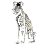 Gacqpli Halloween Szkielet dla psa, straszna dekoracja siedzącej czaszki szczeniaka