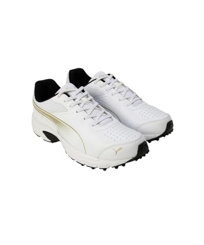 Image of Puma Mens Cricket Power 2.0 Cricket Shoe