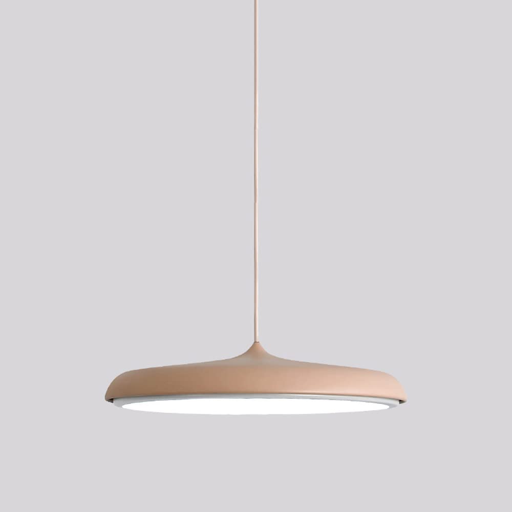 Lampes Suspendues 12W Métal Rose Plafonnier Finition Soignée Déco Café et Chambre