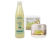  Salerm 21 Acondiconador Proteina de Seda 250ml + Salerm Mascarilla Germen de Trigo 200ml