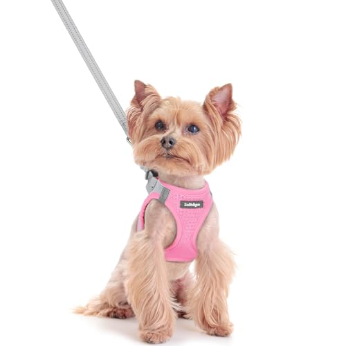 Image of rabbitgoo Dog Harness Small Sized and Leash Set, Step-in Puppy Pet Vest