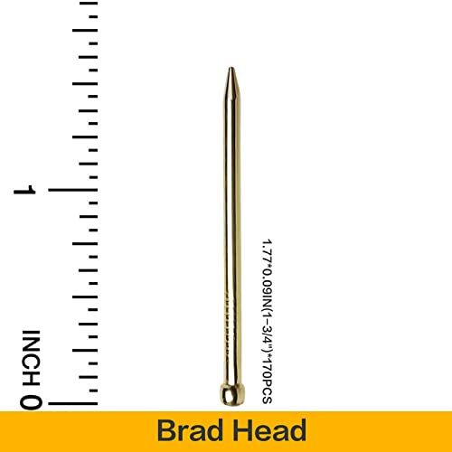 Tuplip Fe- Finishing Nails 1-3/4''Inch X 13 Gauge (170Pcs), Brad Head Nails Hardware 5D (45Mm) Brass Plated Gold Nails, Long Nails For Picture Hanging/Wood/Frame/Plaster And Concrete Wall/Diy #TOP1