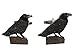 Kiola Designs Colored Perched Crow Raven Bird Cufflinks