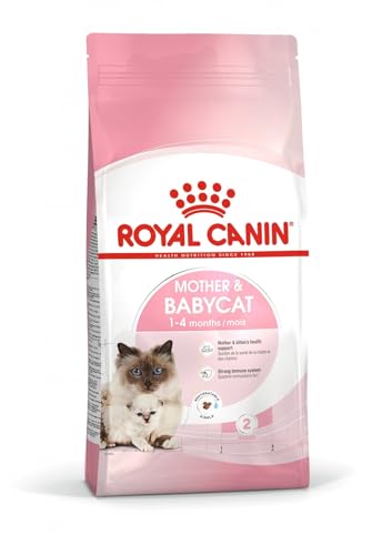 Royal Canin/Babycat sac de 2 kg croquettes pour chaton de 1 à 4 mois