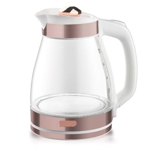 Bouilloire électrique acier inoxydable 1L XXZ compacte automatique