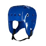 Danmar Prodotti Casco a Copertura Totale, Blu Royal, Large