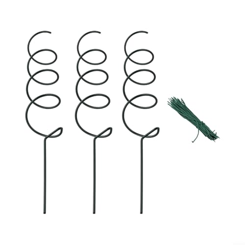 Piquets en spirale pour plantes grimpantes, support essentiel pour tomates, concombres et fleurs, facile à utiliser (A)