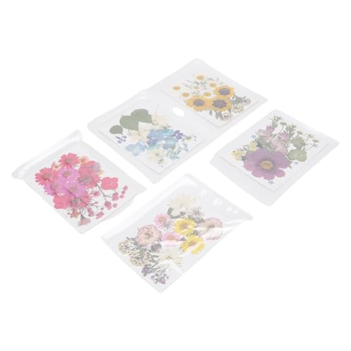 100 Flores prensadas secas para manualidades tipo 2 miniatura 3